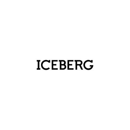 Iceberg