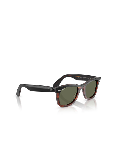 Ray-Ban Wayfarer Street Neat Sunglasses - Black on Havana/Polar Green