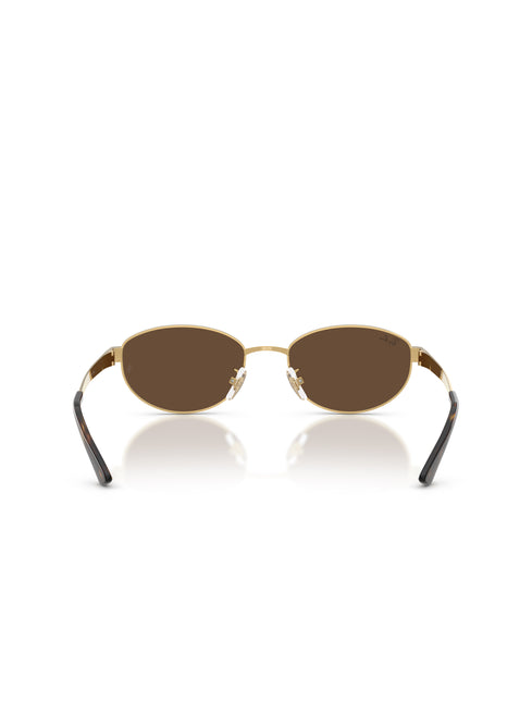 Ray-Ban RB3774D Sunglasses - Arista/Dark Brown