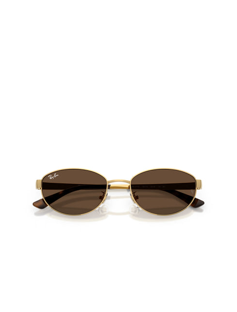 Ray-Ban RB3774D Sunglasses - Arista/Dark Brown