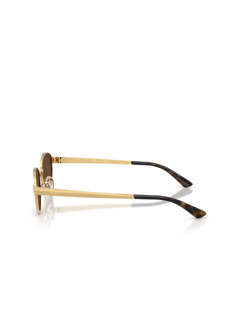 Ray-Ban RB3774D Sunglasses - Arista/Dark Brown