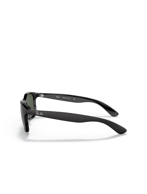 Ray-Ban Andy Sunglasses - Matte Black/Dark Green