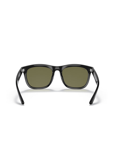 Ray-Ban RB4260D Sunglasses - Polished Black/Green