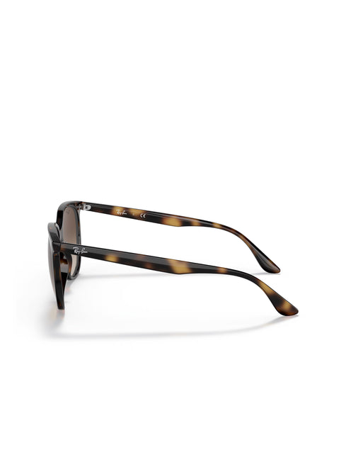 Ray-Ban RB4378 Sunglasses - Havana/Gradient Brown