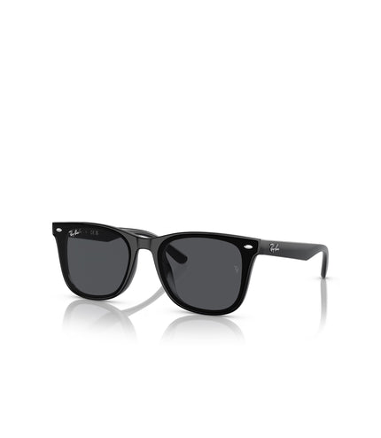 Ray Ban RB4420 Glasses - Polished Black