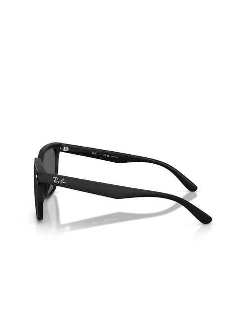 Ray-Ban RB4466D Sunglasses - Matte Black/ Dark Green