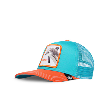 Goorin Bros Player Hat - Turquoise