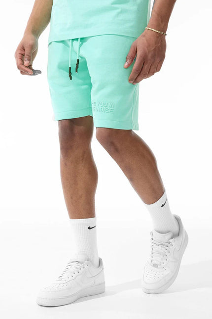 Jordan Craig Paradise Tonal Shorts - Aqua