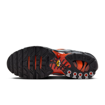 Nike Men’s Air Max Plus - Wolf Grey