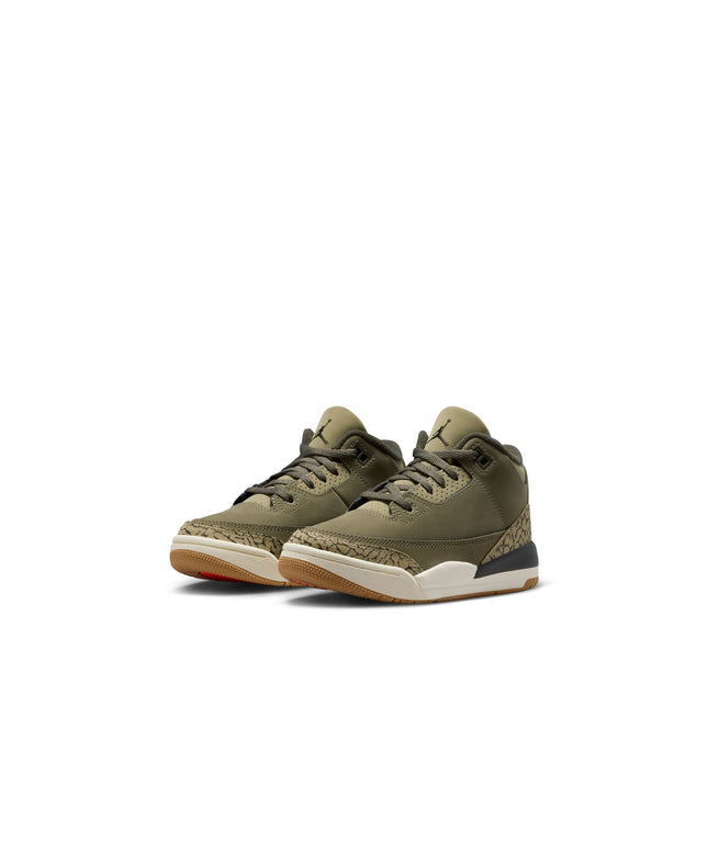 Air Jordan (PS) 3 Retro - Family Affair