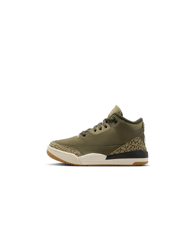 Air Jordan (PS) 3 Retro - Family Affair