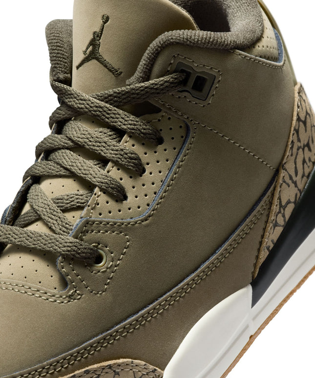 Air Jordan (PS) 3 Retro - Family Affair