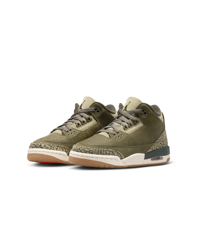 Air Jordan Big Kids 3 Retro - Family Affair
