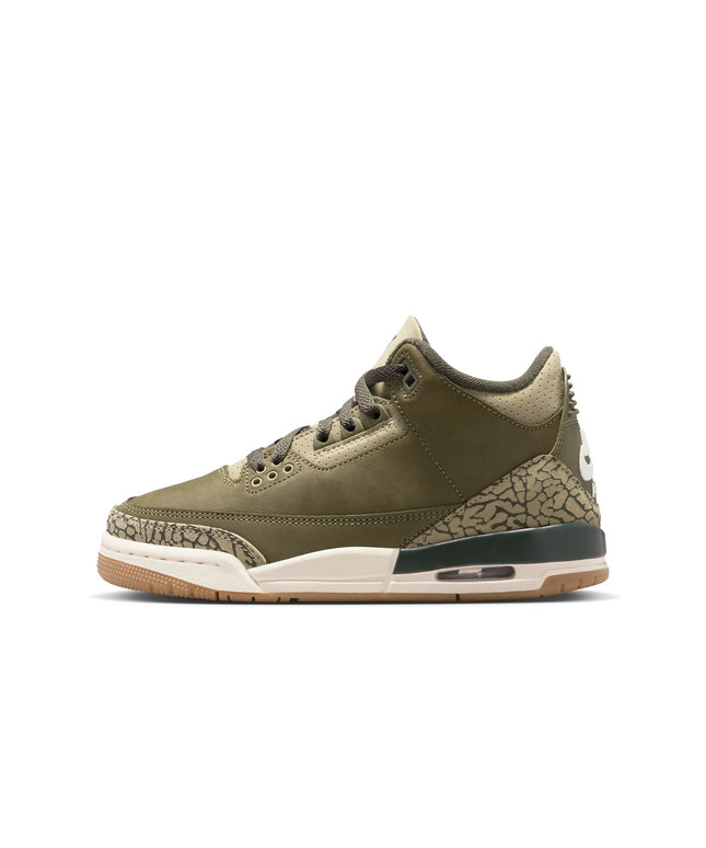 Air Jordan Big Kids 3 Retro - Family Affair