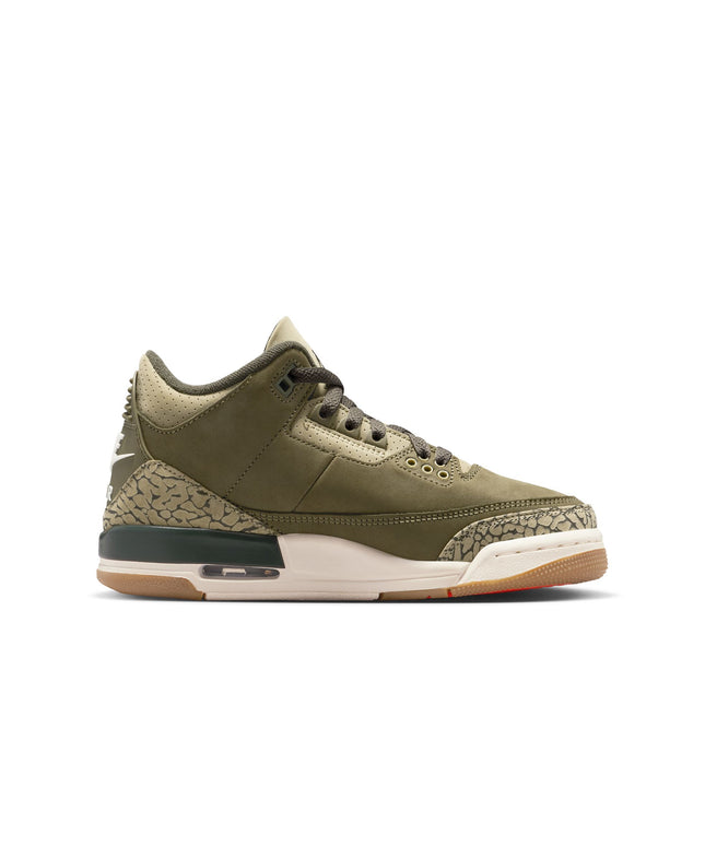 Air Jordan Big Kids 3 Retro - Family Affair