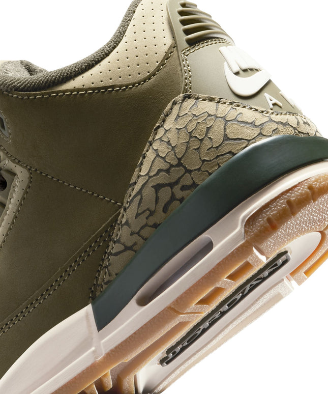 Air Jordan Big Kids 3 Retro - Family Affair