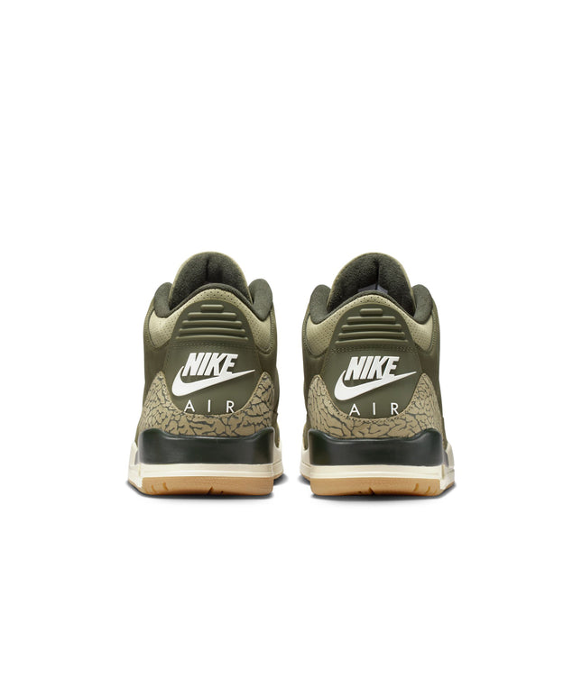 Air Jordan Mens 3 Retro - Family Affair