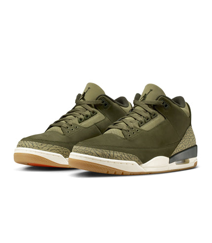 Air Jordan Mens 3 Retro - Family Affair