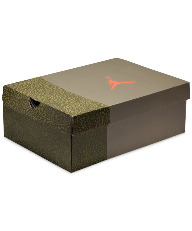 Air Jordan Mens 3 Retro - Family Affair