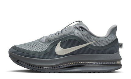 Nike Mens Pegasus Premium - Wolf Grey
