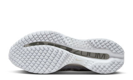 Nike Mens Pegasus Premium - White/Metallic Silver