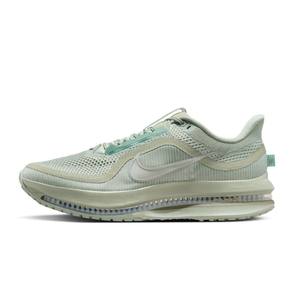 Collection image for: Nike Pegasus