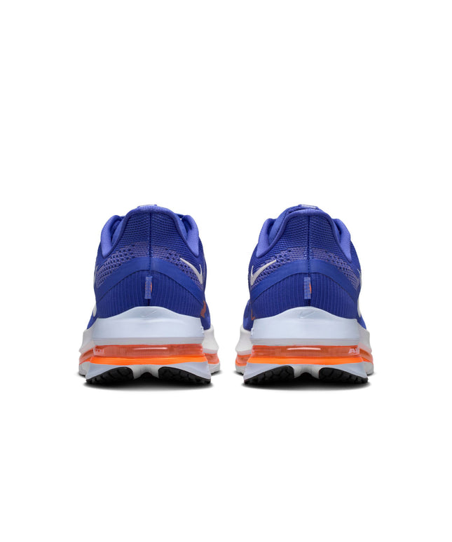 Nike Mens Pegasus Premium - Lapis
