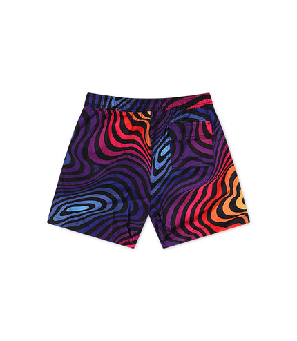 Psycho Bunny Kids Randolph Swim Trunk - Multicolor