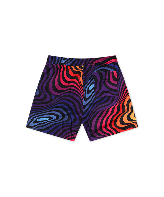 Psycho Bunny Kids Randolph Swim Trunk - Multicolor
