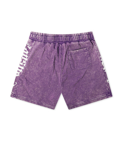 Godspeed CourtSide Shorts - Washed Purple