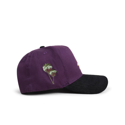 Reference Mens Paradise LA Corduroy Brim Hat - Purple/Black