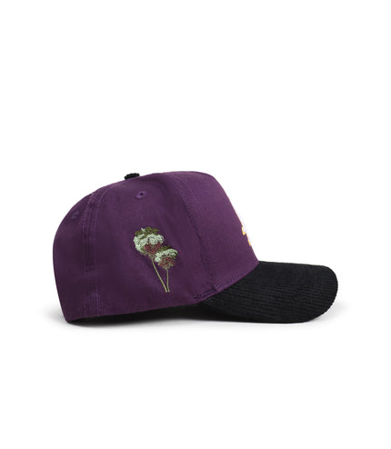 Reference Mens Paradise LA Corduroy Brim Hat - Purple/Black