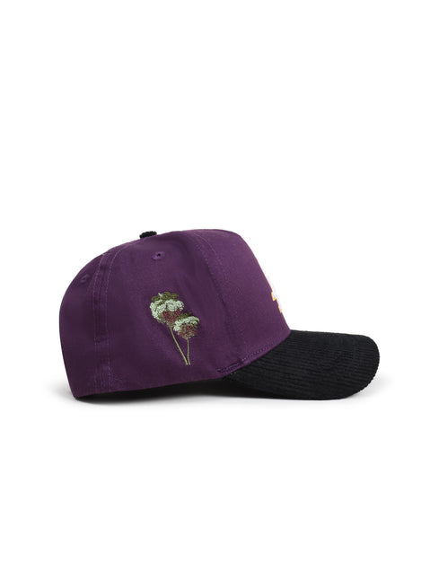 Reference Mens Paradise LA Corduroy Brim Hat - Purple/Black