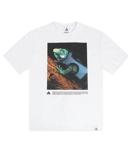 Nike Mens ACG Dri-Fit Tee - Summit White