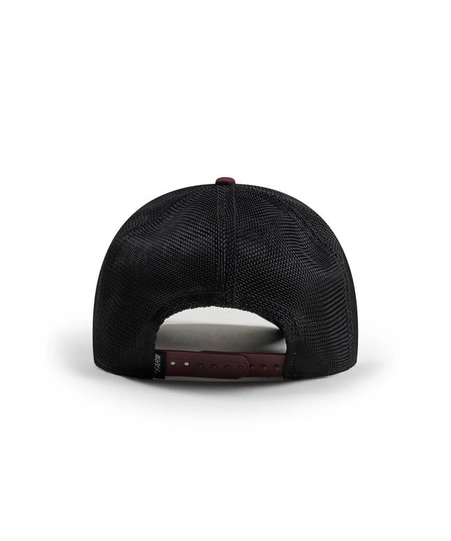 Goorin Bros Panther Hat - Purple - Denim Exchange 