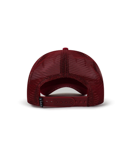 CULT OF INDIVIDUALITY CLEAN LOGO CURVED VISOR HAT - VINTAGE RED CULT OF INDIVIDUALITY