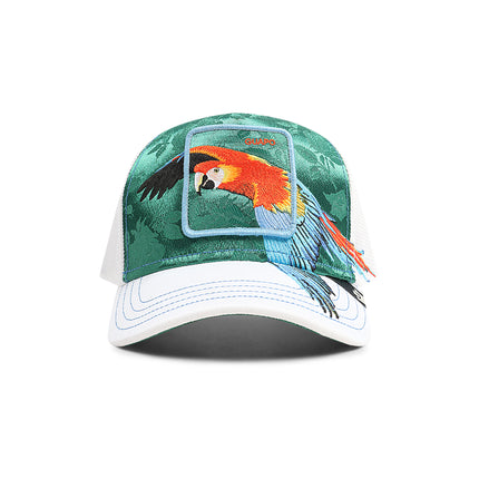 Collection image for: Accessories