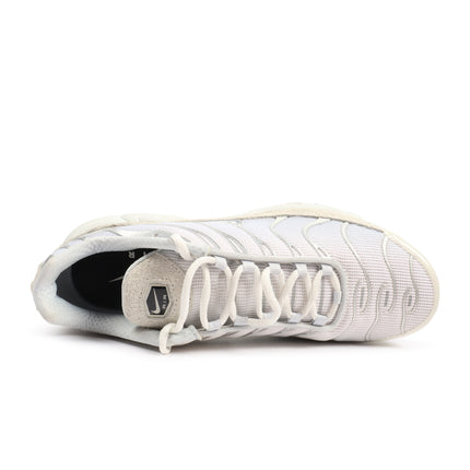 Nike Air Max Plus Pure Platinum/Metallic Silver