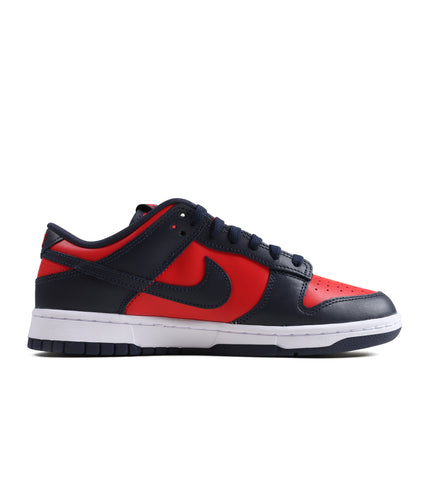 Nike Mens Dunk Low Retro - City Attack