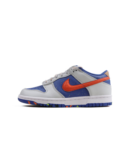 Nike Big Kids Dunk Low - Paint Splatter