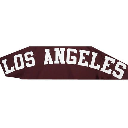 Pro Standard La Dodgers Wingspan Drop Shoulder Hoodie - Wine