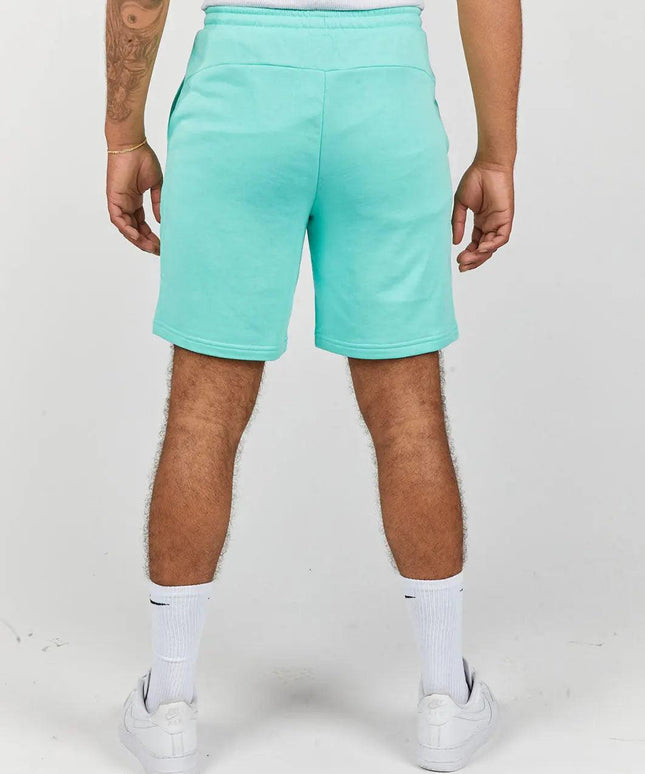 PUMA MERCEDES-AMG PETRONAS ESSENTIALS SHORTS PUMA