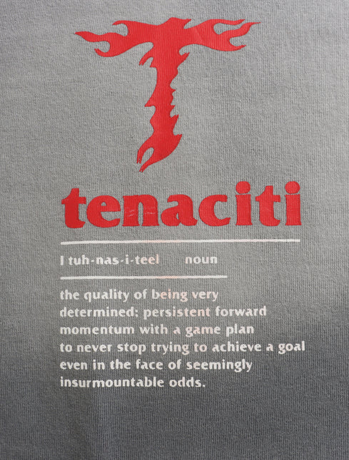 Tenaciti Tuffbreed Tee - Silver