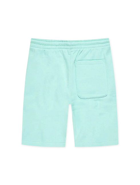 Jordan Craig Paradise Tonal Shorts - Aqua