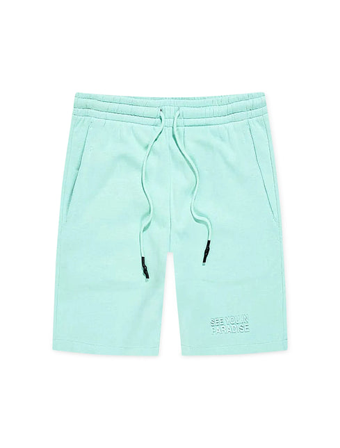 Jordan Craig Paradise Tonal Shorts - Aqua