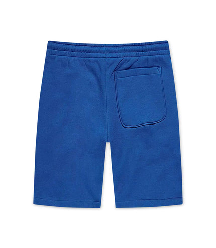 Pantalones cortos Jordan Craig Paradise Tonal - Azul real