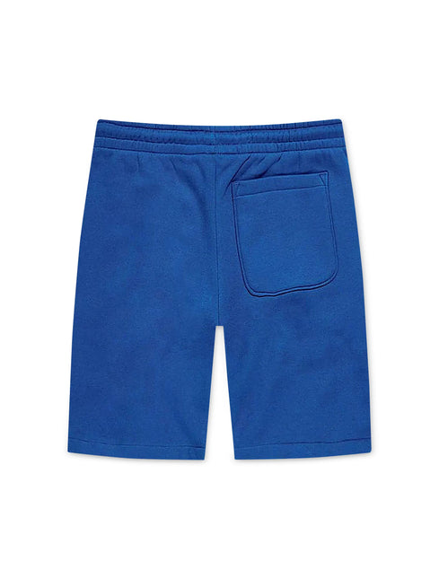 Jordan Craig Paradise Tonal Shorts - Royal