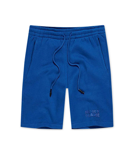 Pantalones cortos Jordan Craig Paradise Tonal - Azul real